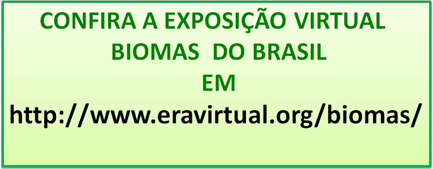 Biomas Brasileiros - Quiz - Racha Cuca PDF, PDF, Brasil