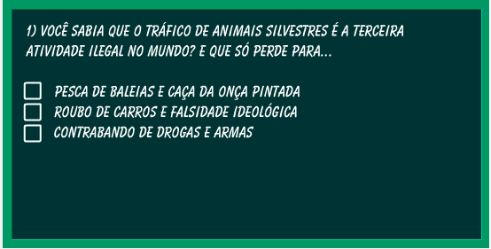 Biomas Brasileiros - Quiz - Racha Cuca PDF, PDF, Brasil